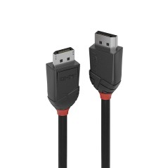 Lindy 1M DisplayPort 12 Cable - High-Performance Connectivity | Part No. 36491